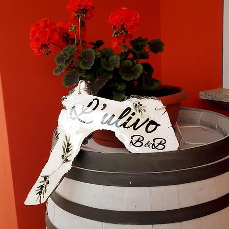 Bed and Breakfast Beb Ulivo Santa Giuletta Zewnętrze zdjęcie