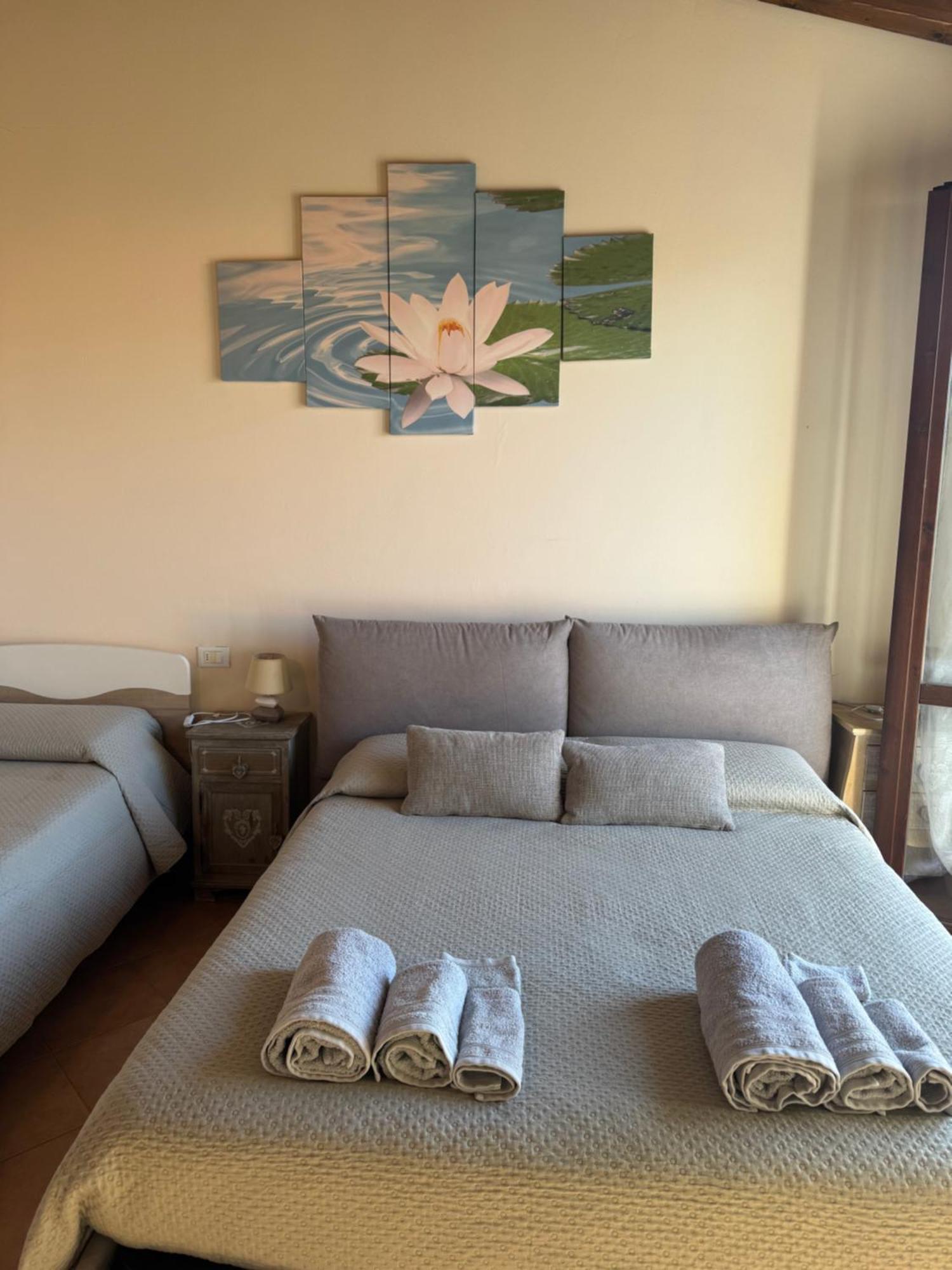Bed and Breakfast Beb Ulivo Santa Giuletta Zewnętrze zdjęcie